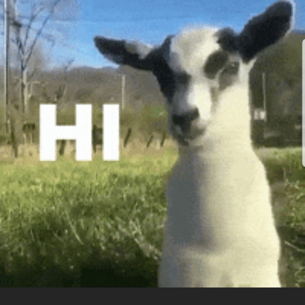 Meet your Posher, Greg